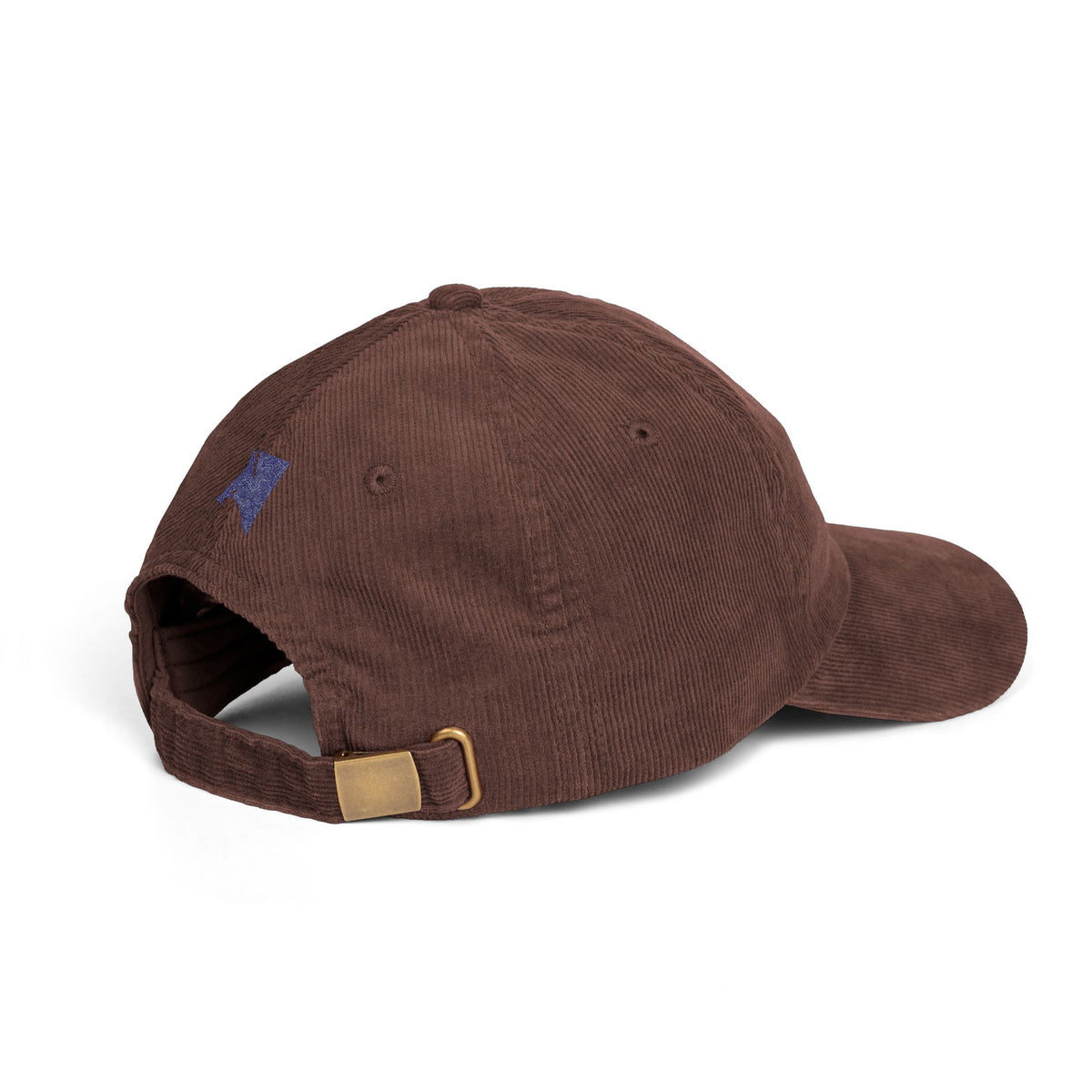 Sonoma Surf Co. Corduroy Cap — Vintage Logo