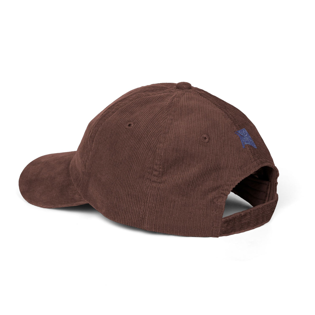 Sonoma Surf Co. Corduroy Cap — Vintage Logo